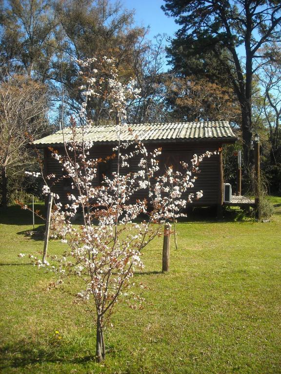Cabanas Las Lavandas En Pilar 필라르 외부 사진